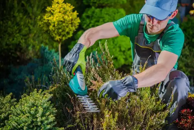 landscaping services Sand Lake